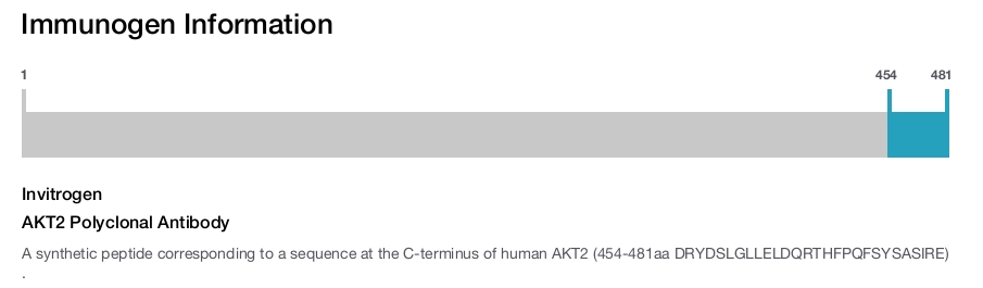 AKT2 Polyclonal Antibody