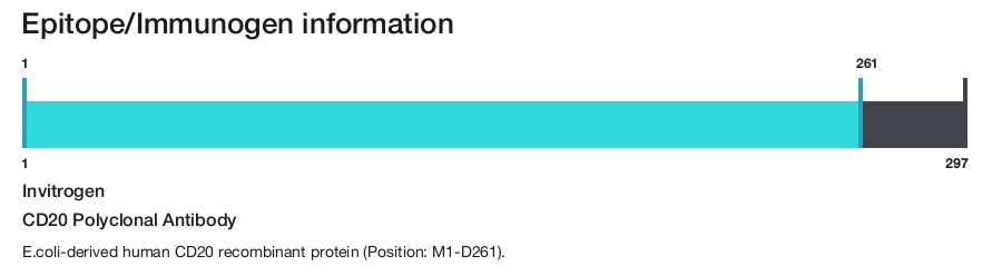CD20 Polyclonal Antibody