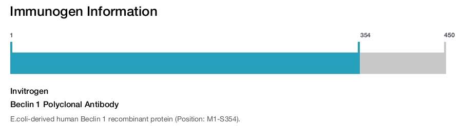 Beclin 1 Polyclonal Antibody