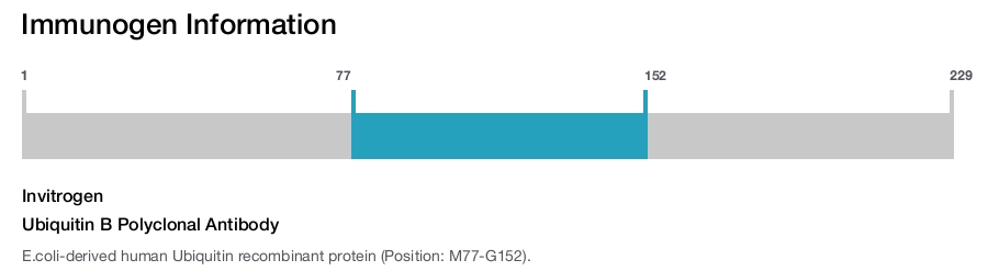 Ubiquitin B Polyclonal Antibody