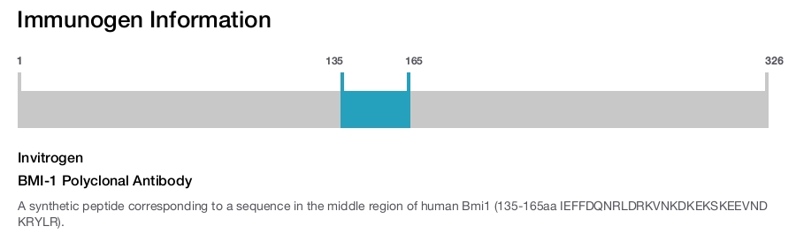 BMI-1 Polyclonal Antibody