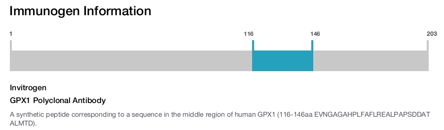 GPX1 Polyclonal Antibody