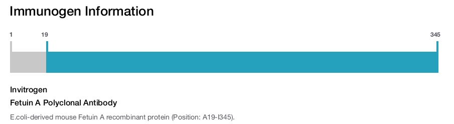 Fetuin A Polyclonal Antibody