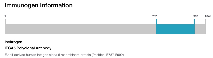 ITGA5 Polyclonal Antibody