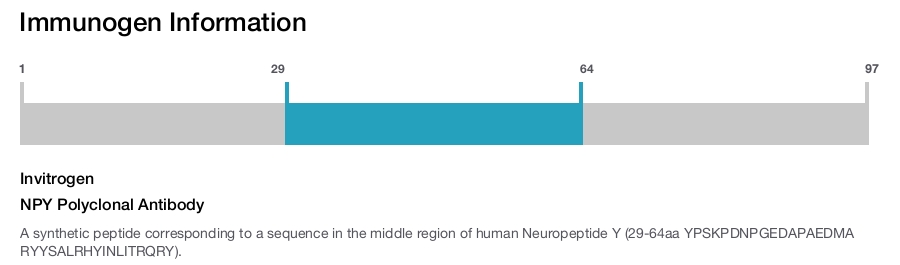 NPY Polyclonal Antibody