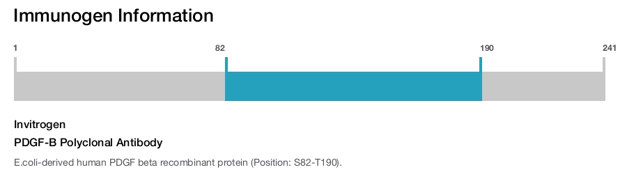 PDGF-B Polyclonal Antibody