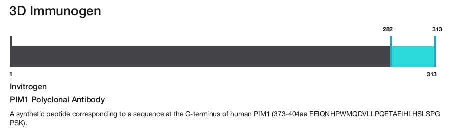 PIM1 Polyclonal Antibody