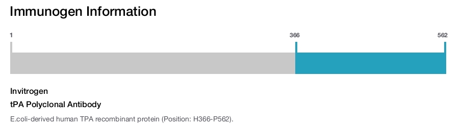 tPA Polyclonal Antibody