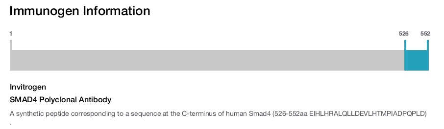 SMAD4 Polyclonal Antibody