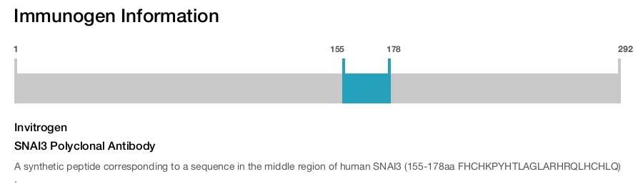 SNAI3 Polyclonal Antibody