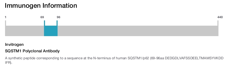 SQSTM1 Polyclonal Antibody