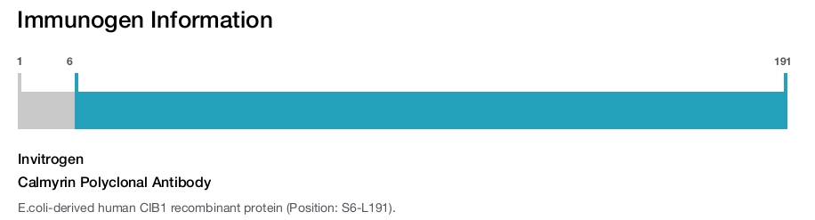 Calmyrin Polyclonal Antibody