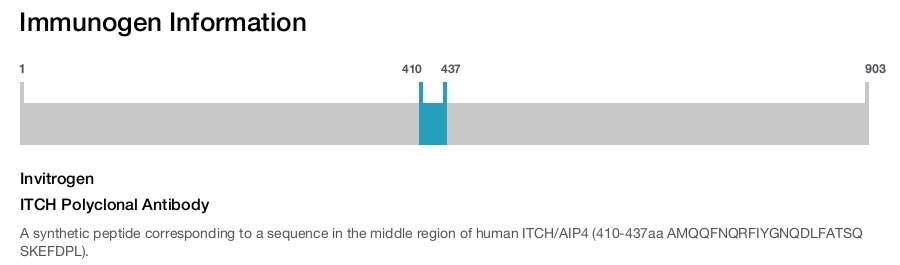 ITCH Polyclonal Antibody