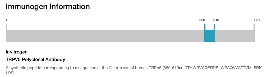 TRPV5 Polyclonal Antibody