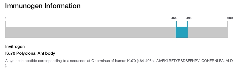 Ku70 Polyclonal Antibody