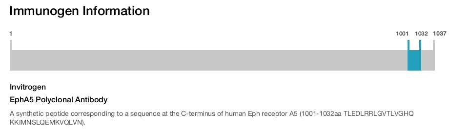 EphA5 Polyclonal Antibody