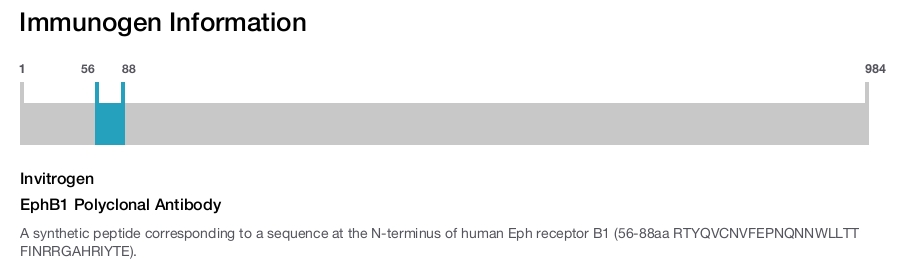 EphB1 Polyclonal Antibody