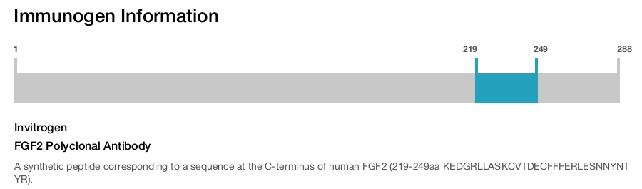 FGF2 Polyclonal Antibody