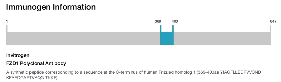 FZD1 Polyclonal Antibody
