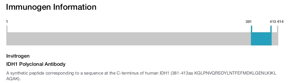 IDH1 Polyclonal Antibody