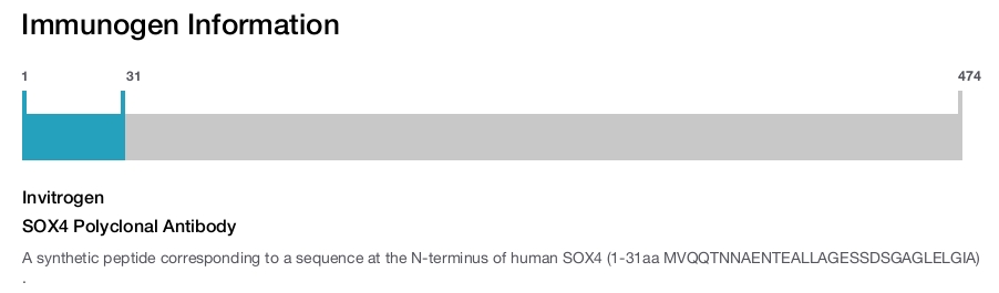 SOX4 Polyclonal Antibody
