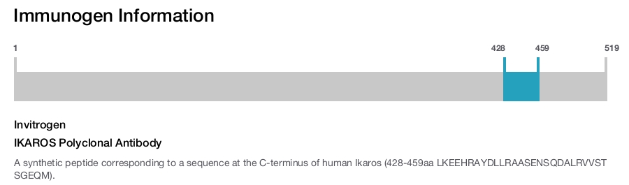 IKAROS Polyclonal Antibody