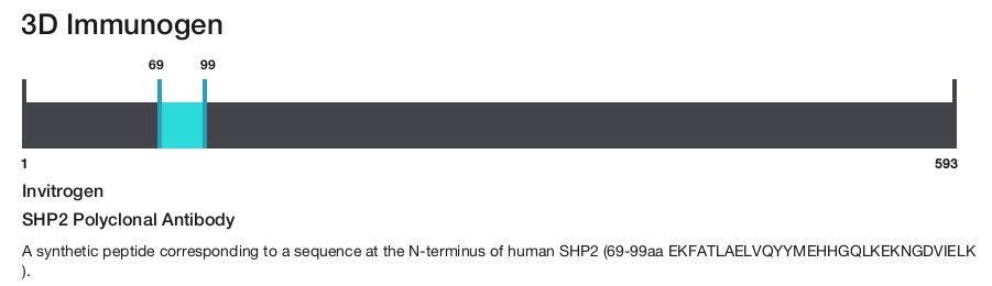 SHP2 Polyclonal Antibody