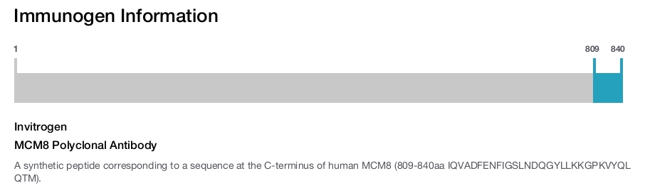 MCM8 Polyclonal Antibody