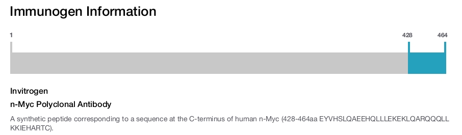 n-Myc Polyclonal Antibody