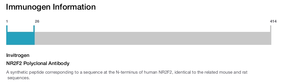 NR2F2 Polyclonal Antibody
