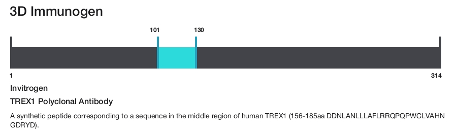 TREX1 Polyclonal Antibody