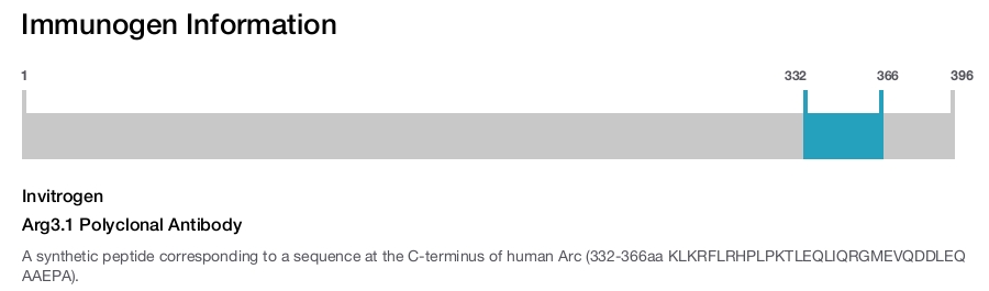Arg3.1 Polyclonal Antibody