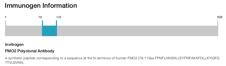 FMO2 Polyclonal Antibody