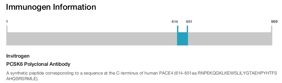 PCSK6 Polyclonal Antibody