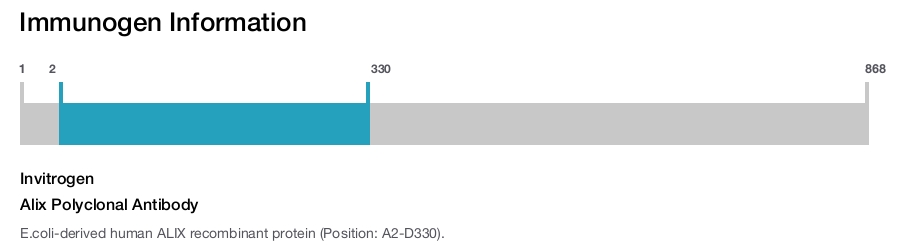 Alix Polyclonal Antibody