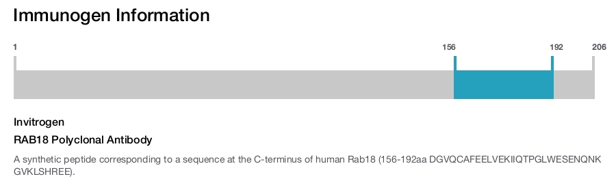 RAB18 Polyclonal Antibody