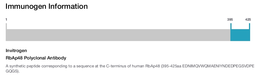 RbAp48 Polyclonal Antibody