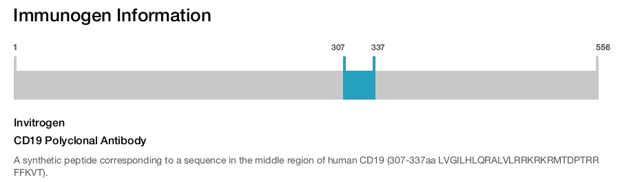 CD19 Polyclonal Antibody