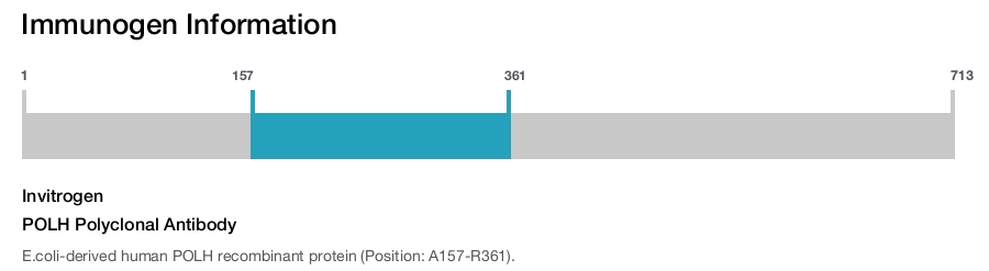 POLH Polyclonal Antibody