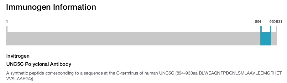 UNC5C Polyclonal Antibody
