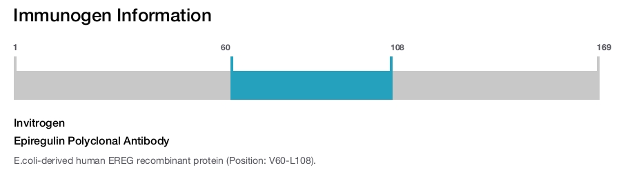 Epiregulin Polyclonal Antibody
