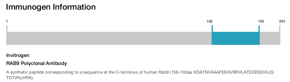 RAB9 Polyclonal Antibody