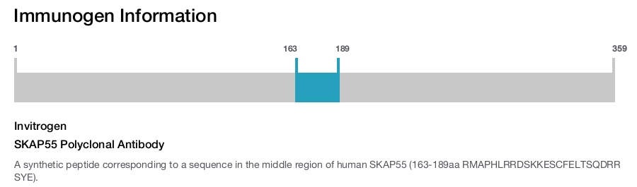 SKAP55 Polyclonal Antibody