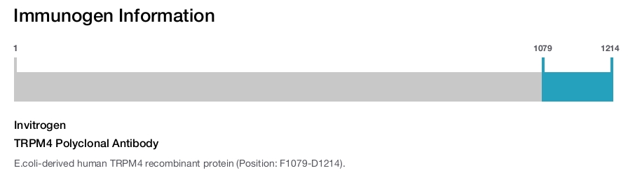 TRPM4 Polyclonal Antibody