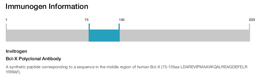 Bcl-X Polyclonal Antibody