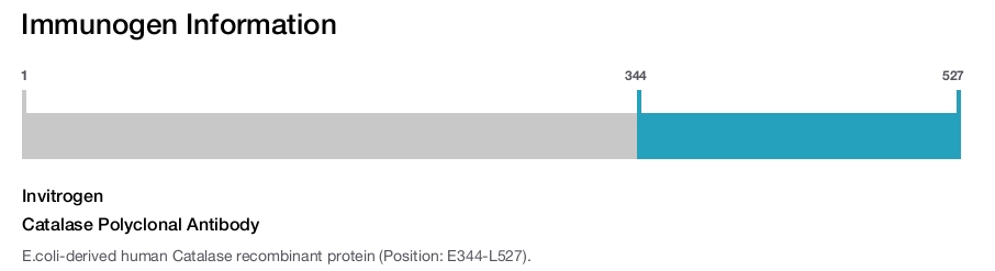 Catalase Polyclonal Antibody