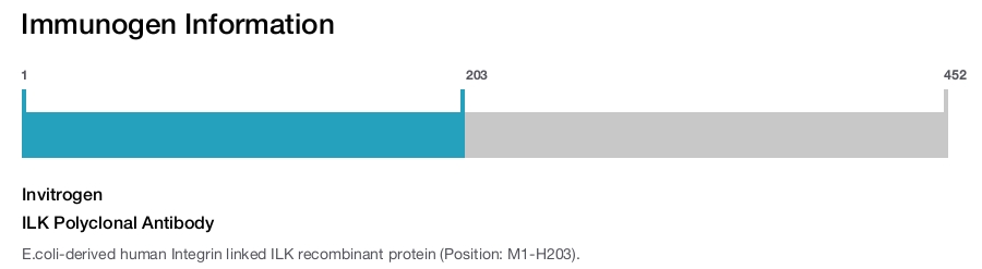 ILK Polyclonal Antibody