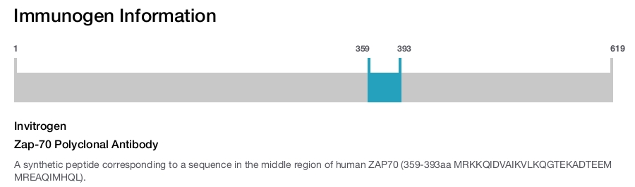 Zap-70 Polyclonal Antibody