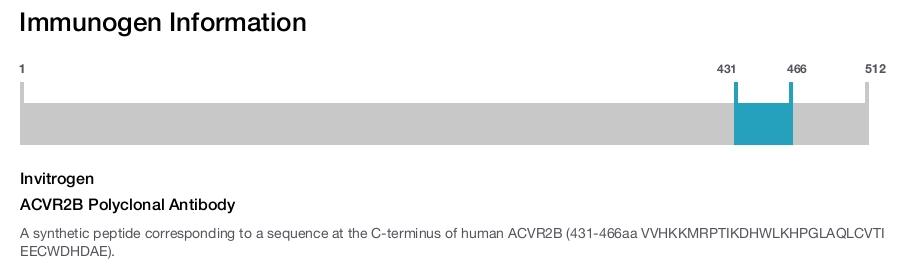 ACVR2B Polyclonal Antibody