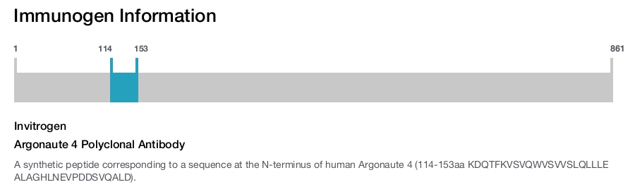 Argonaute 4 Polyclonal Antibody